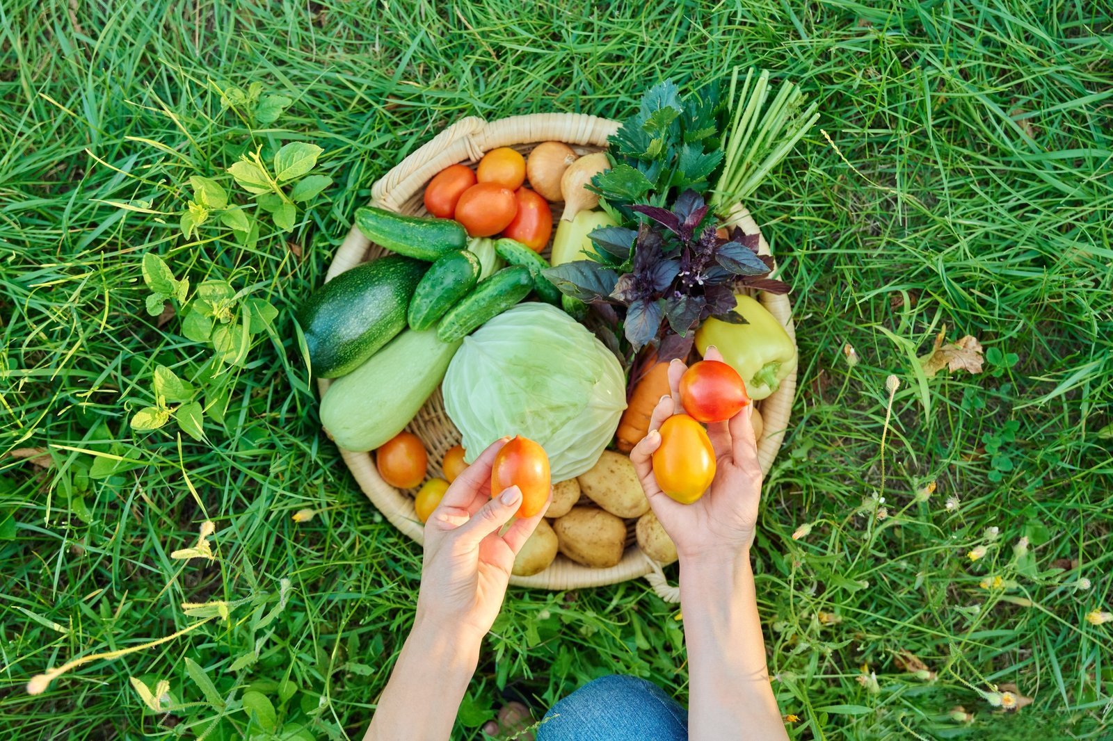 Top view vegetable in basket, woman hands with vegetables